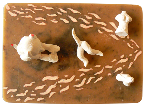 cerfs